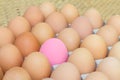 Pink preserved egg and fresh eggs Royalty Free Stock Photo