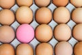 Pink preserved egg and fresh eggs Royalty Free Stock Photo