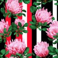 Pink Protea Floral Pattern on Bold Red, Black, and White Stripes. Royalty Free Stock Photo