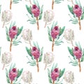 Pink Protea flower watercolor illustration. Seamless pattern design on a white background.