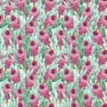 Pink Protea flower watercolor illustration. Seamless pattern design on a white background.