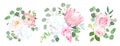 Pink protea, ranunculus, rose, medinilla, white hydrangea, seede