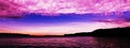 Pink Pudin - Vivid Sunrise Seascape Panorama