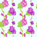 Pink-purple Alcea rosea common hollyhock, mallow flower stem with green leaves and buds, hand painted watercolor illustration