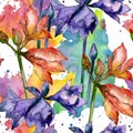 Pink and purple amaryllis floral botanical flower. Watercolor background illustration set. Seamless background pattern.