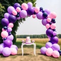 pink purple balloon arch, balloons in shape of frame, outdoors girl birthday party, decorations, cake on candybar