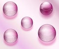 Pink and purple Blue water drops and pearls with transparent shining beads with ornament Royalty Free Stock Photo