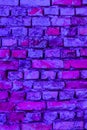 Pink and purple brick wall backdrop