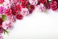 Pink and purple carnation flowers border on white background with copy space