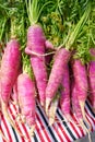 Pink purple carrots organic vegetables Royalty Free Stock Photo