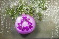 Pink and purple christmas ball with ornament and xmas tree on white wooden background. Winter holiday theme card. Royalty Free Stock Photo