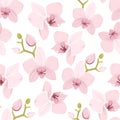 Pink purple exotic orchid flower seamless pattern Royalty Free Stock Photo