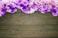 Pink purple flower mansoa alliacea or garlic vine frame on vintage grunge wooden background Royalty Free Stock Photo