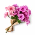 Colorful Geranium Bouquet Wrapped In Paper On White Background Royalty Free Stock Photo