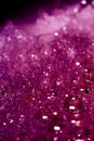 Pink or purple Foam or bubbles texture of chemical Biotechnology of Laboratory in Water, dark Background