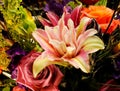 Pink, purple, green, white stargazer lily flower fully bloomed in a flower arrangement Royalty Free Stock Photo