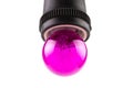 Pink Purple Incandescent round light bulb. Royalty Free Stock Photo
