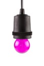 Pink Purple Incandescent round light bulb Royalty Free Stock Photo