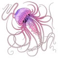 Pink purple jellyfish with white stipples Royalty Free Stock Photo