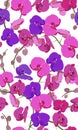 Pink and purple orchid floral seamless pattern. Flowers bloom blossom foliage bouquet Royalty Free Stock Photo
