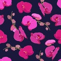 Pink purple orchid floral seamless pattern. Flowers bloom blossom foliage Royalty Free Stock Photo