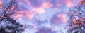 Pink and purple polar stratospheric clouds, a effect in the sky that sometimes rarely occurs in winter Royalty Free Stock Photo