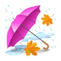 Pink or purple realistic umbrella with falling orange leaves