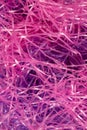 Pink and Purple shredded plastic fake Easter grass background