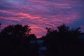 Pink with a purple sky at sunset Royalty Free Stock Photo