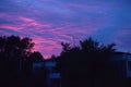 Pink with a purple sky at sunset Royalty Free Stock Photo