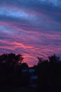 Pink with a purple sky at sunset Royalty Free Stock Photo