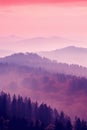 Pink and purple sunset in misty mountain view. Vertical shot