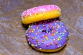 Pink and purple sweet donuts with icing and sugar decoration. Object concept. Side view. Lying flat. Food concept. Macro concept.