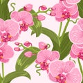 Pink purple tender orchid floral seamless pattern. Royalty Free Stock Photo