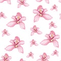 Pink purple tender orchid phalaenopsis floral seamless pattern. Royalty Free Stock Photo