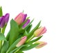 Pink and purple Tulip bouquet with green leaves isolated on white background, diagonal