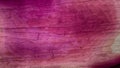 Pink and Purple Wood Background Royalty Free Stock Photo