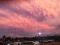 Pink and Purple sunset sky