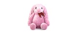 Pink rabbit doll with big ears isolated on white background. Cute stuffed animal and fluffy fur for kids