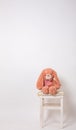 Pink rabbit plush doll sitting on a stool on white background. Easter Bunny. Easter Hare.