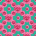 Pink ranonkel repeat pattern print background