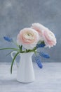 Pink Ranunculus and blue muscari on grey background. Spring postcard concept.