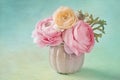 Pink ranunculus