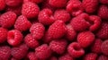 Pink raspberries, berries background. Healthy low calorie fruit razz