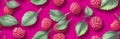 Pink raspberries, berries background. Healthy low calorie fruit razz