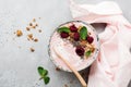 Pink raspberry banana smoothie bowl with granola, chia seeds, coconut and mint on light gray concrete background. Selective focus Royalty Free Stock Photo