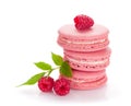 Pink raspberry macaron cookies Royalty Free Stock Photo