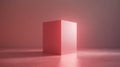 Pink rectangular block stands in a pink room