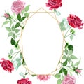 Pink and red bush roses floral botanical flowers. Watercolor background illustration set. Frame border ornament square. Royalty Free Stock Photo