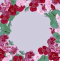 Flower, frame, pink, floral, border, white, rose, nature, flowers, isolated, spring, beautiful, card, beauty, red, blossom, decora
